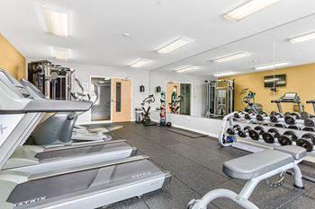Gym with equipments